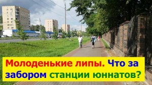 250721 Магазин Эльдорадо Уют Молодые липы Новый забор станции юных натуралистов Юннатов город Орёл г