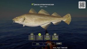 ТРЕСКА НА МОРЕ РУССКАЯ РЫБАЛКА 4 РР4