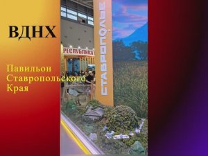 ВДНХ. Павильон Ставропольского Края. Выставка Россия июль 2024.