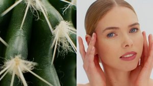 Cactus Therapy - серия натуральной косметики на основе уникальных свойств кактуса