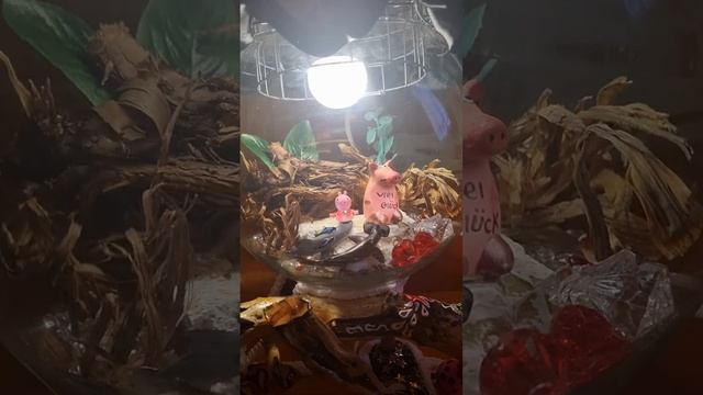 МОЙ РЕЗУЛЬТАТ ТРУДА .... смотреть онлайн