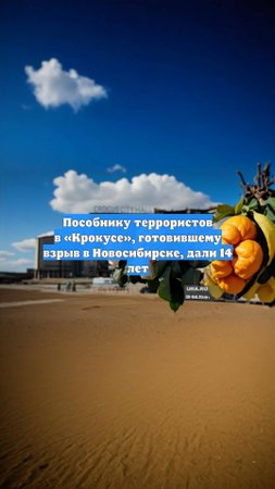 Пособнику террористов в «Крокусе», готовившему взрыв в Новосибирске, дали 14 лет