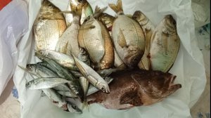 Ловля Ставриды и Ласкиря.Первая рыбалка после больничного.Рыбалка в Крыму Ялта.