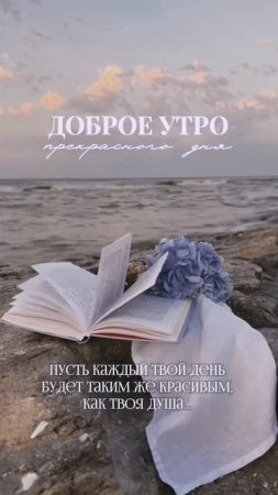 Доброе утро