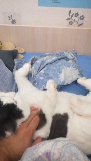 Весёлый час