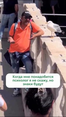 Знаки