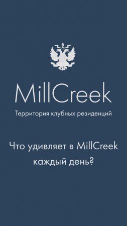 Что сотрудников больше всего удивляет в MillCreek? | Гольф-клуб во Всеволожске