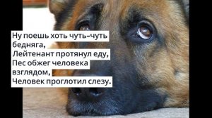Невероятные стихи до слёз! На кольцевой