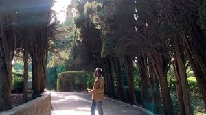 Мудрость Мастера!!! Сборник Shorts 2. Мастер Пранава