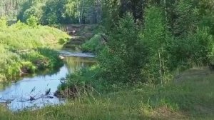 Народный хор Родные напевы Русалочки