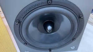 Колонки Audivector 395000