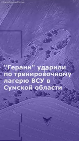 "Герани" ударили по тренировочному лагерю ВСУ в Сумской области