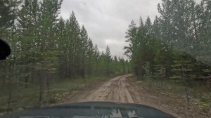 Лесная дорога по летнему северному лесу