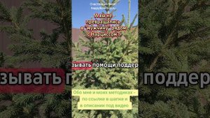 В отношениях с НАРЦИССОМ вы теряете свою ЖЕНСТВЕННОСТЬ!
