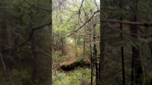 Горный Алтай большой Уларский водопад