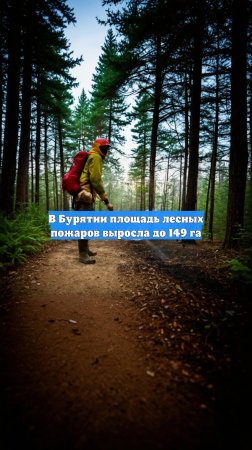 В Бурятии площадь лесных пожаров выросла до 149 га
