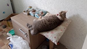 деревенский уют и счастье