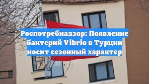 Роспотребнадзор: Появление бактерий Vibrio в Турции носит сезонный характер