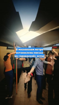 В московском метро остановлены поезда на «оранжевой» ветке