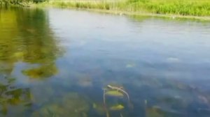 Каждый отдыхает по своему.... 😏