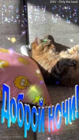 Доброй ночи!) Сладких снов) #добройночи