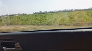 Дорога,воспоминания кучеряво жили