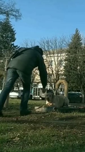 🐶
