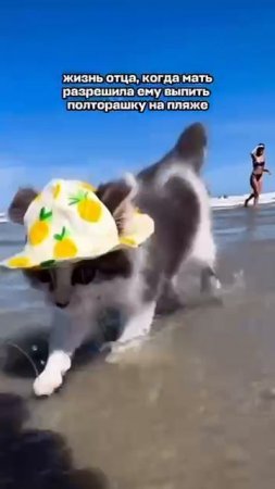Полторашечка