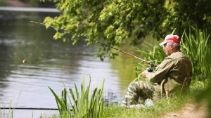 Биолог предупредила об опасности рыбы из загрязненных водоемов