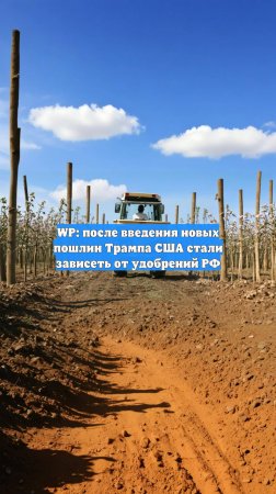 WP: после введения новых пошлин Трампа США стали зависеть от удобрений РФ
