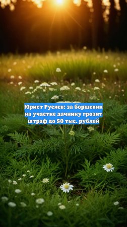 Юрист Русяев: за борщевик на участке дачнику грозит штраф до 50 тыс. рублей