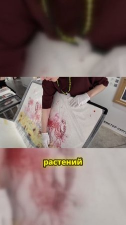 Как создаются уникальные растительные мотивы в графике