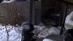 Влог от 28.01.2021