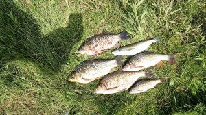 Рыбалка в полнолуние. Ночь на Ахтубе.