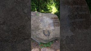 20250718 Пруд, камень, идем на выход и собираемся на экскурсию в Вербилки