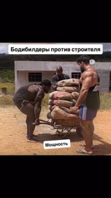 строители сильнее бодебилдеров