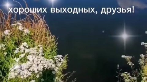 #сезонконтентаRUTUBE