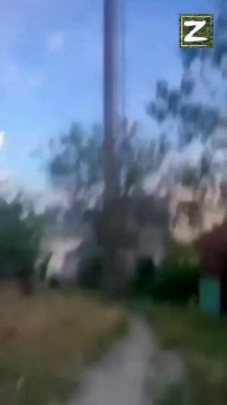сво