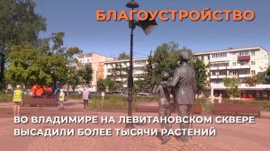 Во Владимире на Левитановском сквере высадили более тысячи растений