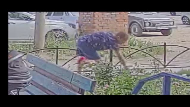 Краденые цветы Орская 113А смотреть онлайн