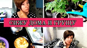 21-07-2025 ПОДСТРИГЛАСЬ И ПОКРАСИЛАСЬ💇УДОБРИЛА ПОМИДОРЫ🍅БЛИНЫ ИЗ КАБАЧКОВ🥞ГРУСТНО КАК ТО🙁