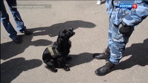 Кинолог в Огоньке