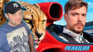 Реакция на Мистер Бист / Самая Быстрая Машина в Мире vs Гепард!