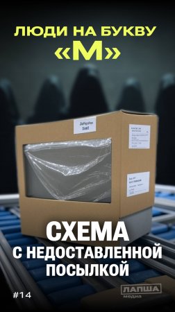 «ЛЮДИ НА БУКВУ М»: схема с недоставленной посылкой