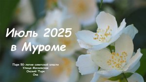 Июль 2025 в Муроме, Парк 50-летия советской власти, Московская, Окский парк, Ока