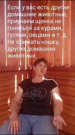 Что входит в воспитание щенка и когда начинать