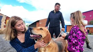 В Сургуте приют для животных стал точкой поддержки участников СВО