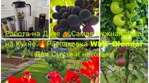 Наша Дача в Германии 🏕 Обрезаю Верхушки ТОМАТОВ 🍅Распаковка 🔥📦WMF хорошая Вещь для кухни 🎀