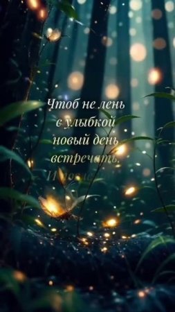 Спокойных снов