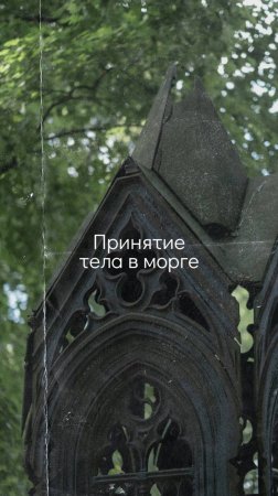 Выдача тела из морга бывает разной